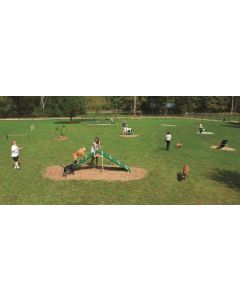 Expert Dog Course
