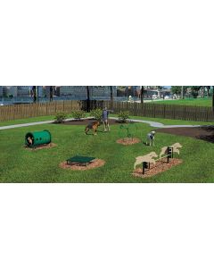 Novice Dog Course