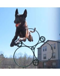 Hoop Jump