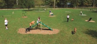 Expert Dog Course