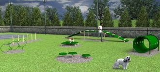Small Dog Advanced Course