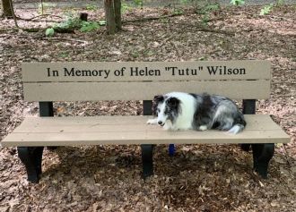 Traditional Memorial Park Bench 6 Foot Long
