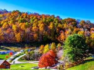 Pisgah National Forest, NC