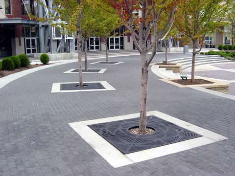 Recycled Tree Grates from OCC Outdoors