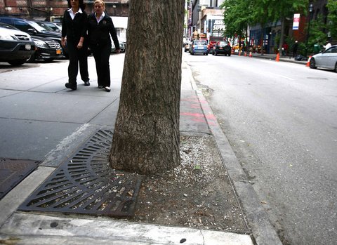 Stolen Steel Tree Grate